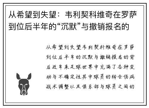 从希望到失望：韦利契科维奇在罗萨到位后半年的“沉默”与撤销报名的背后