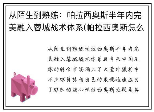 从陌生到熟练：帕拉西奥斯半年内完美融入蓉城战术体系(帕拉西奥斯怎么样)