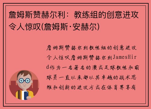 詹姆斯赞赫尔利：教练组的创意进攻令人惊叹(詹姆斯·安赫尔)